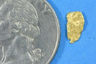 Alaskan - Yukon BC Gold Rush Natural Gold Nugget 0.  16 Grams 3