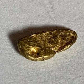 Gold Nugget From Mine In Colorado