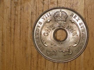 British West Africa 1936 Kn Penny Coin Unc Uncirculated Edward Viii