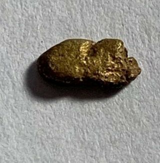 Gold Nugget From Mine In Colorado Gold Picker Natural Gold With Matrix
