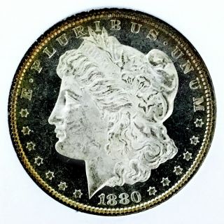1880 P Morgan Dollar Choice Bu,  Incredible Dmpl/pl Rim Toned Wow Nr 09795