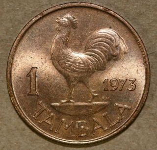 1973 Malawi Tambala Rooster - Foreign Coin