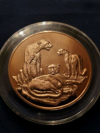1971 Solid Bronze Round By The East African Wildlife Society,  Anthony Jones -