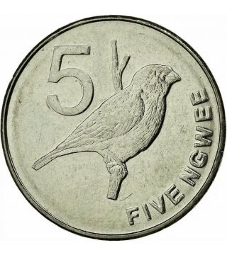 Zambia 5 Ngwee,  2013,  British Royal,  World Coin