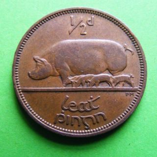 55th Birthday 1964 Irish Half Penny Coin Sow Pig Piglets Harp Ireland Vintage