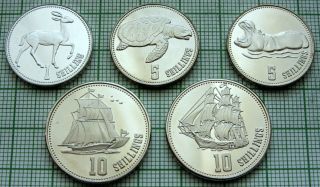 Republic Of Somaliland 2019 - Ah 1440 Set 5 Coins - Animals & Sailing Ships,  Unc