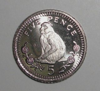 2000 Gibraltar 5 Pence,  Barbary Ape,  Monkey Animal Wildlife Coin