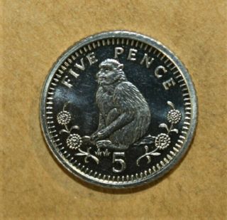 Gibraltar 5 Pence 1990 - Aa Brilliant Uncirculated Proof Coin - Monkey
