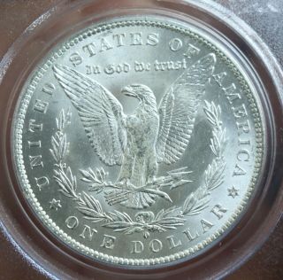 1884 - O Morgan Dollar $1 PCGS Graded MS64 Silver Coin 4