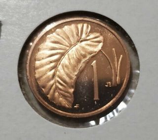 1976 Proof Coin Of The Cook Islands 1 Cent Coin Taro Leaf