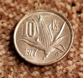 1977 Mexico 10 Centavos Cents Coin W/ Snake,  Eagle And Corn,