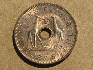 Rhodesia & Nyasaland 1958 Bronze 1/2 Penny Coin Km 1