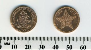 Bahamas 1995 - 1 Cent Copper Plated Zinc Coin - Starfish