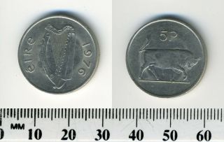 Ireland Republic 1976 - 5 Pence Copper - Nickel Coin - Irish Harp - Bull