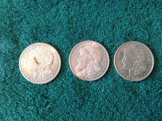 1921 P D S Morgan Silver Dollar Set 3 Coins