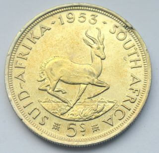 South Africa 5 Shillings 1953 Elizabeth Ii Large Silver Coin 28g