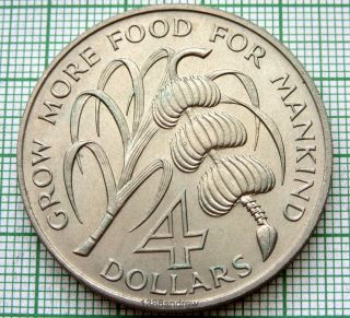 Barbados 1970 4 Dollars,  Caribbean Development Bank,  F.  A.  O.  Series Bananas,  Unc