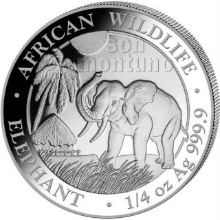 2017 Somalia Silver Elephant - 1/4 Oz Coin In Capsule African Wildlife.  9999 Bu