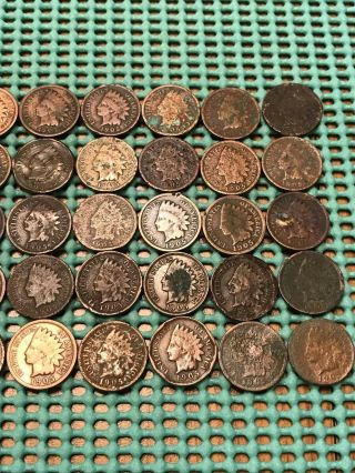 Complete Roll of 50 1905 Indian Head Pennies 3