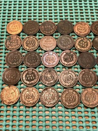 Complete Roll of 50 1905 Indian Head Pennies 5