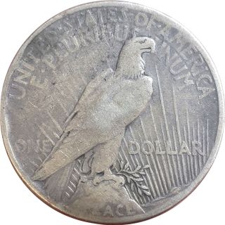 1921 P Peace $1 Silver U.  S.  One Dollar Philadelphia High Relief Key Date Coin 3