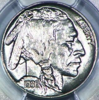 1936 Buffalo Nickel Pcgs Ms62 U.  S.  Coin Native American James Earl Fraser Money