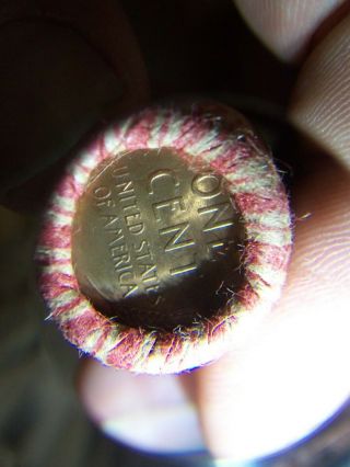 Wheat Penny Roll With A Unknown Bu Wheat Penny Showing