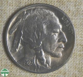 1923 - P Buffalo Nickel - Very Fine Details