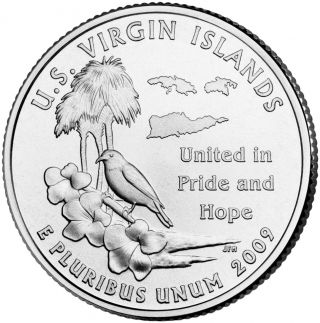 2009 P Virgin Islands Territorial Quarter Bu