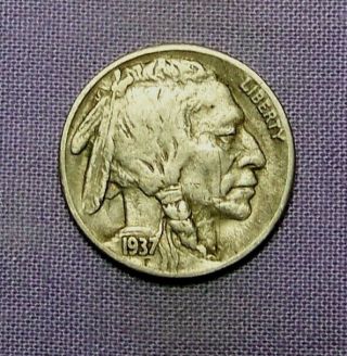 1937 S San Francisco Buffalo Head Nickel 90927195