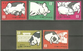 Prc China 1960 (s40) Pig Breeding Set Sc 518 - 522 Mnh Og - See Scans