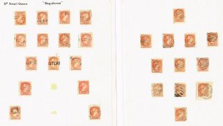 7 - Pages Small Queens F - Vf (ber3,  8