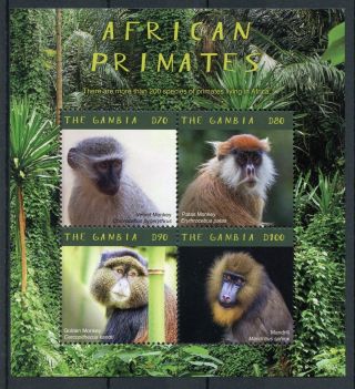 Gambia 2018 Mnh African Primates Mandrill 4v M/s Monkeys Wild Animals Stamps