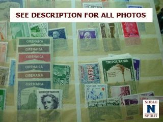NobleSpirit (G) INTACT Italy $18 - 20,  000 Premium DISCOVERY AS FOUND 4