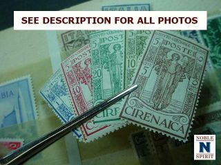 NobleSpirit (G) INTACT Italy $18 - 20,  000 Premium DISCOVERY AS FOUND 9