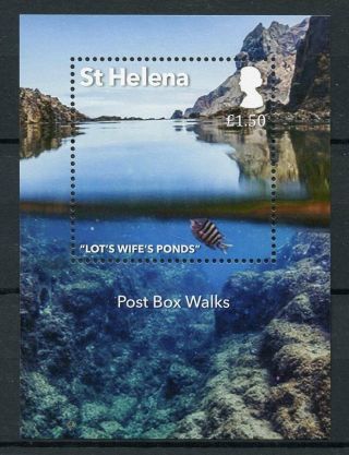 St Helena 2017 Mnh Post Box Walks 1v M/s Tourism Landscapes Fish Fishes Stamps