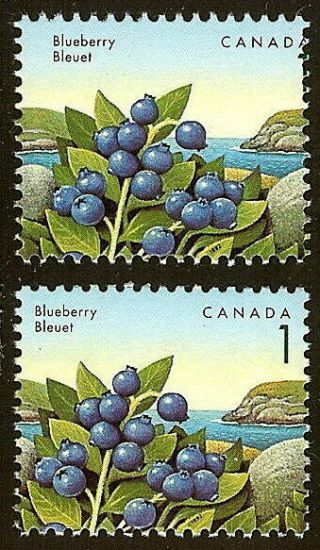 Canada 1349 Huge Misperf Error / Efo " 1 " Appears Missing " Berries " Nh