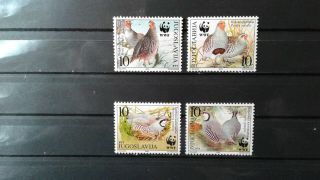 $2 Deals Yugoslavia Good Set Of Birds 2479a - D Mnh Complete