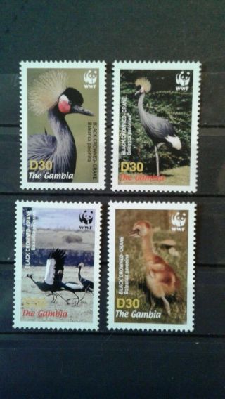 Gambia Wwf Cranes 3014 A - D Mnh Complete