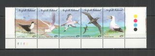 Y1127 1994 Norfolk Island Fauna Birds 569 - 73 1set Mnh