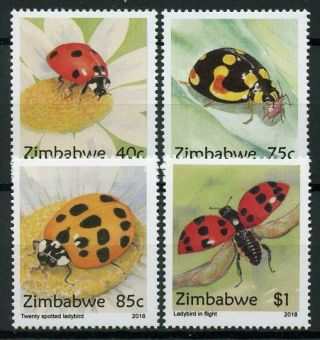 Zimbabwe 2018 Mnh Ladybirds Ladybugs 4v Set Insects Beetles Stamps