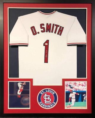 Ozzie Smith Autographed Pro Style Baseball Jersey Custom Matted And Framed (jsa