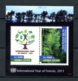 Sierra Leone 2011 Mnh Int Year Of Forests 2v S/s Trees Nature Stamps