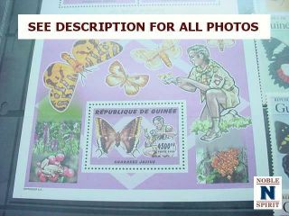 NobleSpirit STE} WW MNH Butterfly Sets,  Singles,  S/S,  PROOFS & Scouts 12