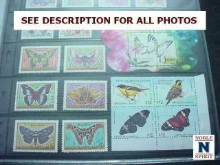 NobleSpirit STE} WW MNH Butterfly Sets,  Singles,  S/S,  PROOFS & Scouts 8