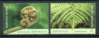 Norfolk Island 2019 Mnh Tree Fern 2v Set Ferns Plants Nature Stamps