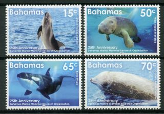 Bahamas 2019 Mnh Marine Mammal Research 4v Set Whales Manatees Animals Stamps
