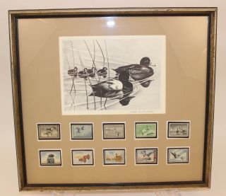 1960 John Ruthven Federal Duck Stamp Print " Redheads " Framed W/10 Stamps