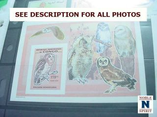 NobleSpirit STE} WW MNH Birds Sets,  Singles,  S/S,  Proofs & Specimens 8