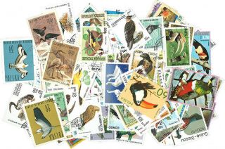 Birds – 250 Different Stamps [2507],  Gift